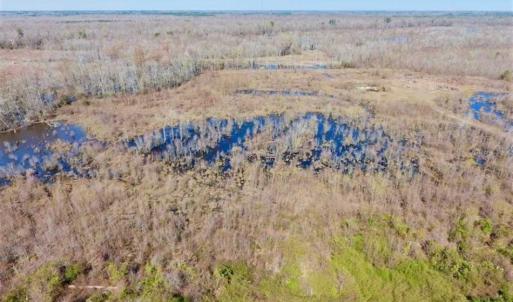 Photo of SOLD!!  172 Acres of Hunting Land For Sale in Craven County NC!