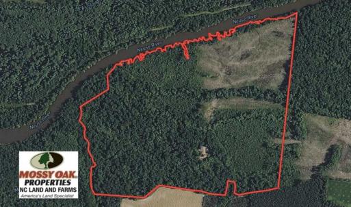 Photo of SOLD!!  172 Acres of Hunting Land For Sale in Craven County NC!