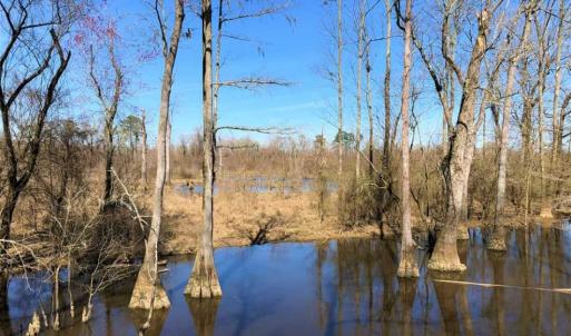 Photo of SOLD!!  172 Acres of Hunting Land For Sale in Craven County NC!