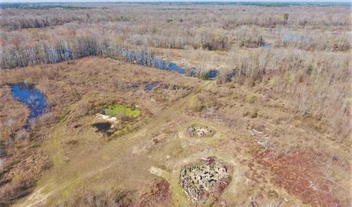 Photo of SOLD!!  172 Acres of Hunting Land For Sale in Craven County NC!