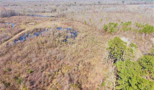 Photo of SOLD!!  172 Acres of Hunting Land For Sale in Craven County NC!
