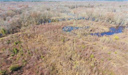 Photo of SOLD!!  172 Acres of Hunting Land For Sale in Craven County NC!