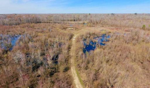 Photo of SOLD!!  172 Acres of Hunting Land For Sale in Craven County NC!