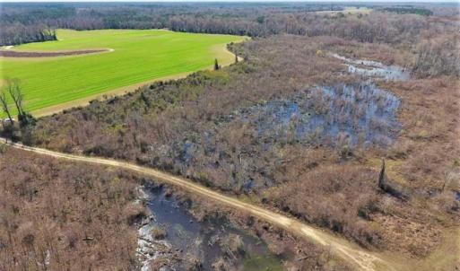 Photo of SOLD!!  172 Acres of Hunting Land For Sale in Craven County NC!