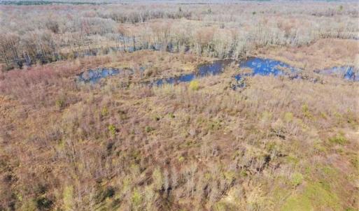 Photo of SOLD!!  172 Acres of Hunting Land For Sale in Craven County NC!