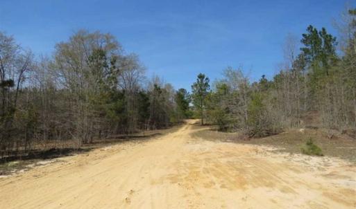 Photo of UNDER CONTRACT!!  35 Acres of Hunting Land with Home Site in Scotland County NC!