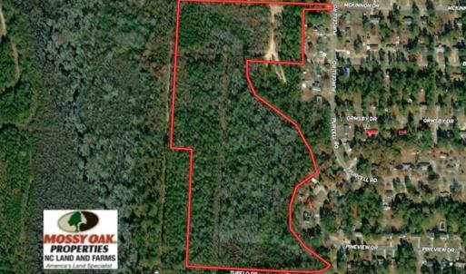 Photo of UNDER CONTRACT!!  35 Acres of Hunting Land with Home Site in Scotland County NC!