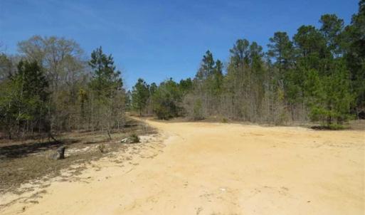 Photo of UNDER CONTRACT!!  35 Acres of Hunting Land with Home Site in Scotland County NC!