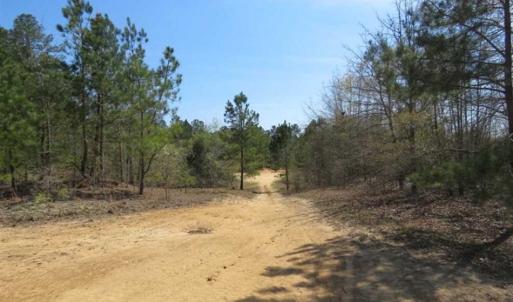Photo of UNDER CONTRACT!!  35 Acres of Hunting Land with Home Site in Scotland County NC!