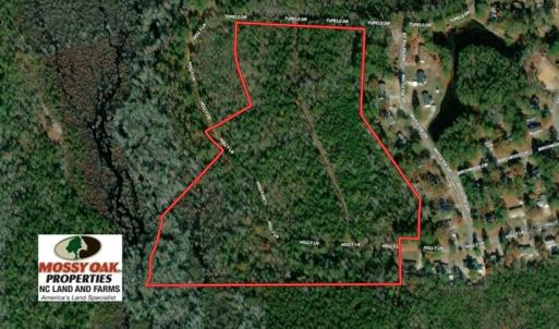 Photo of SOLD!!  25 Acres of Hunting Land For Sale in Scotland County NC!