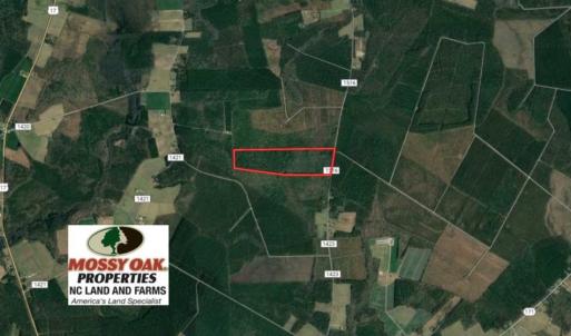 Photo of 92 Acres of Hunting Land For Sale in Martin County NC!