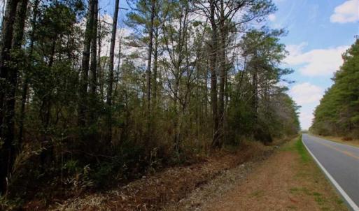 Photo of 92 Acres of Hunting Land For Sale in Martin County NC!