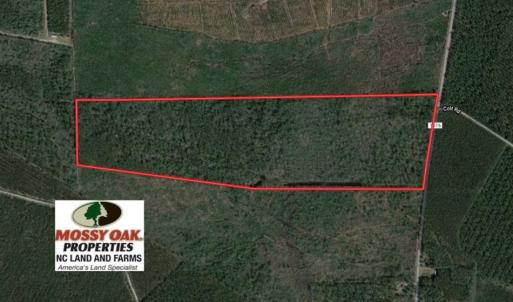 Photo of 92 Acres of Hunting Land For Sale in Martin County NC!