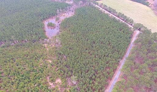 Photo of SOLD!!  20 Acres of Hunting and Timber Land For Sale in Sussex County VA!
