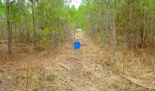 Photo of SOLD!!  20 Acres of Hunting and Timber Land For Sale in Sussex County VA!