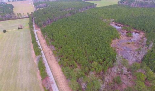 Photo of SOLD!!  20 Acres of Hunting and Timber Land For Sale in Sussex County VA!
