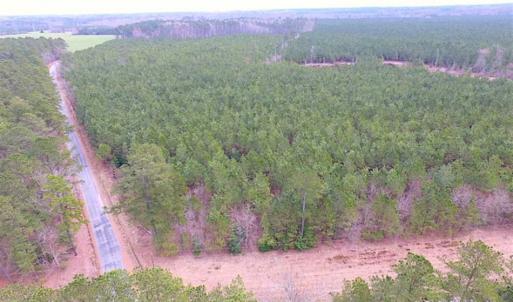 Photo of SOLD!!  20 Acres of Hunting and Timber Land For Sale in Sussex County VA!