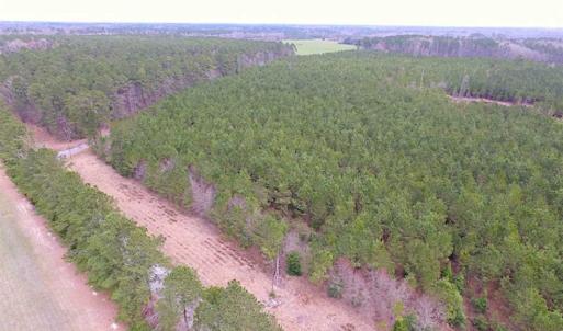 Photo of SOLD!!  20 Acres of Hunting and Timber Land For Sale in Sussex County VA!
