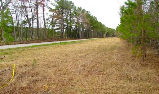 Photo of SOLD!!  20 Acres of Hunting and Timber Land For Sale in Sussex County VA!