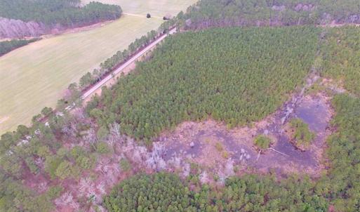 Photo of SOLD!!  20 Acres of Hunting and Timber Land For Sale in Sussex County VA!