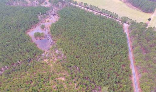 Photo of SOLD!!  20 Acres of Hunting and Timber Land For Sale in Sussex County VA!