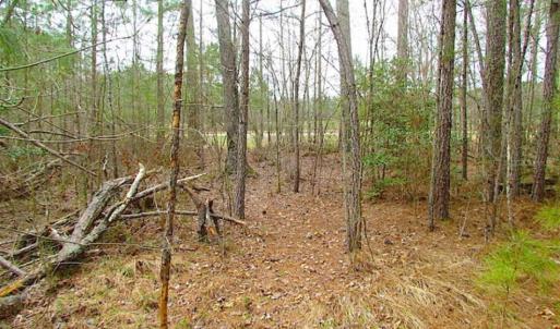 Photo of SOLD!!  20 Acres of Hunting and Timber Land For Sale in Sussex County VA!