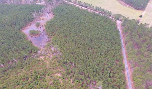 Photo of SOLD!!  20 Acres of Hunting and Timber Land For Sale in Sussex County VA!