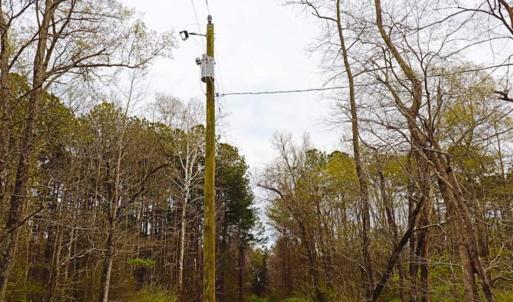 Photo of SOLD!!  12 Acres of Residential and Timber Land for Sale in Wake County NC!