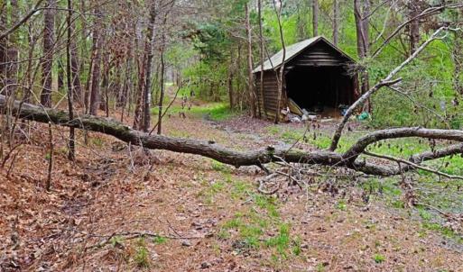 Photo of SOLD!!  12 Acres of Residential and Timber Land for Sale in Wake County NC!