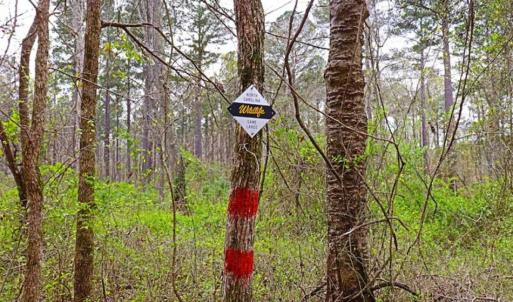 Photo of SOLD!!  12 Acres of Residential and Timber Land for Sale in Wake County NC!