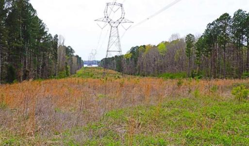 Photo of SOLD!!  12 Acres of Residential and Timber Land for Sale in Wake County NC!