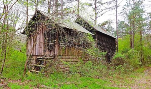 Photo of SOLD!!  12 Acres of Residential and Timber Land for Sale in Wake County NC!