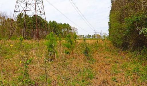 Photo of SOLD!!  12 Acres of Residential and Timber Land for Sale in Wake County NC!