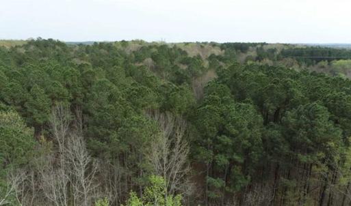 Photo of SOLD!!  12 Acres of Residential and Timber Land for Sale in Wake County NC!
