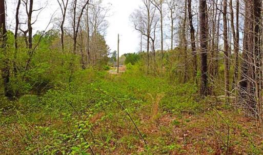 Photo of SOLD!!  12 Acres of Residential and Timber Land for Sale in Wake County NC!
