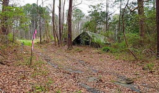 Photo of SOLD!!  12 Acres of Residential and Timber Land for Sale in Wake County NC!