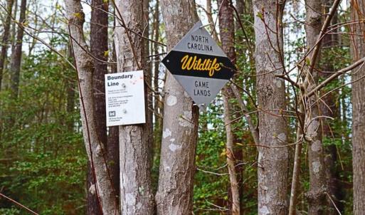 Photo of SOLD!!  12 Acres of Residential and Timber Land for Sale in Wake County NC!