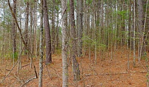 Photo of SOLD!!  12 Acres of Residential and Timber Land for Sale in Wake County NC!