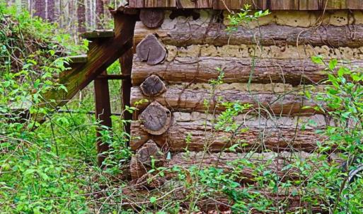 Photo of SOLD!!  12 Acres of Residential and Timber Land for Sale in Wake County NC!
