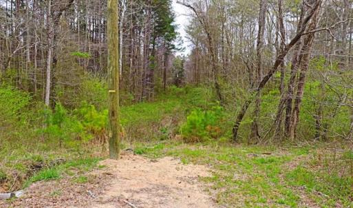 Photo of SOLD!!  12 Acres of Residential and Timber Land for Sale in Wake County NC!