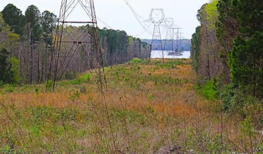 Photo of SOLD!!  12 Acres of Residential and Timber Land for Sale in Wake County NC!