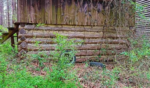 Photo of SOLD!!  12 Acres of Residential and Timber Land for Sale in Wake County NC!