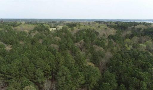 Photo of SOLD!!  12 Acres of Residential and Timber Land for Sale in Wake County NC!