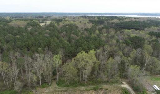 Photo of SOLD!!  12 Acres of Residential and Timber Land for Sale in Wake County NC!
