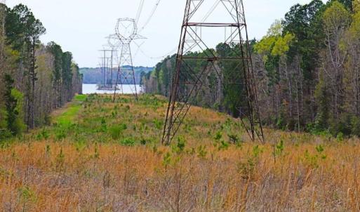 Photo of SOLD!!  12 Acres of Residential and Timber Land for Sale in Wake County NC!