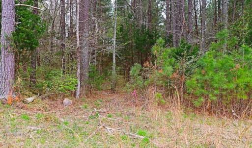 Photo of SOLD!!  12 Acres of Residential and Timber Land for Sale in Wake County NC!