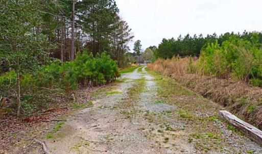 Photo of SOLD!!  12 Acres of Residential and Timber Land for Sale in Wake County NC!