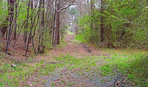 Photo of SOLD!!  12 Acres of Residential and Timber Land for Sale in Wake County NC!