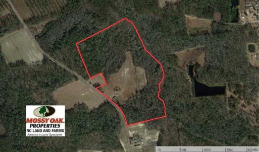 Photo of SOLD!!  42 Acres of Farm and Hunting Land For Sale in Columbus County NC!