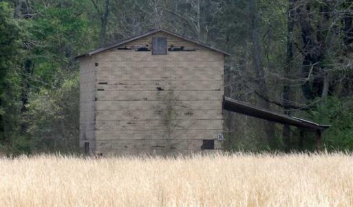 Photo of SOLD!!  42 Acres of Farm and Hunting Land For Sale in Columbus County NC!